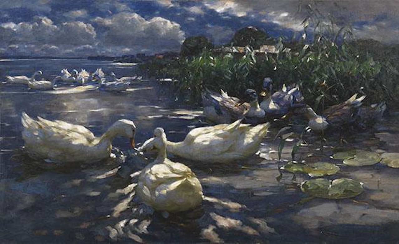 Enten, Reichenau by Alexander Koester