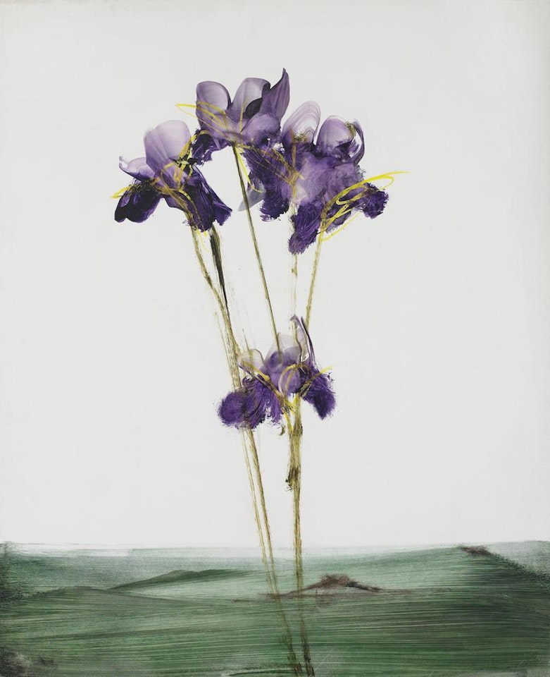 Irises and Landscape by Sidney Nolan