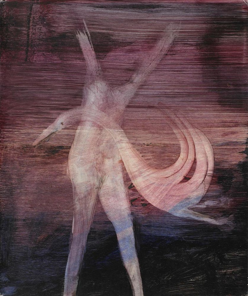 Leda and Swan by Sidney Nolan