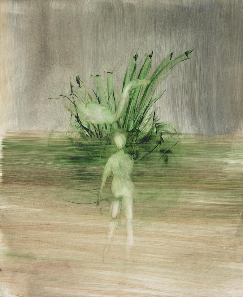 Leda and Swan by Sidney Nolan