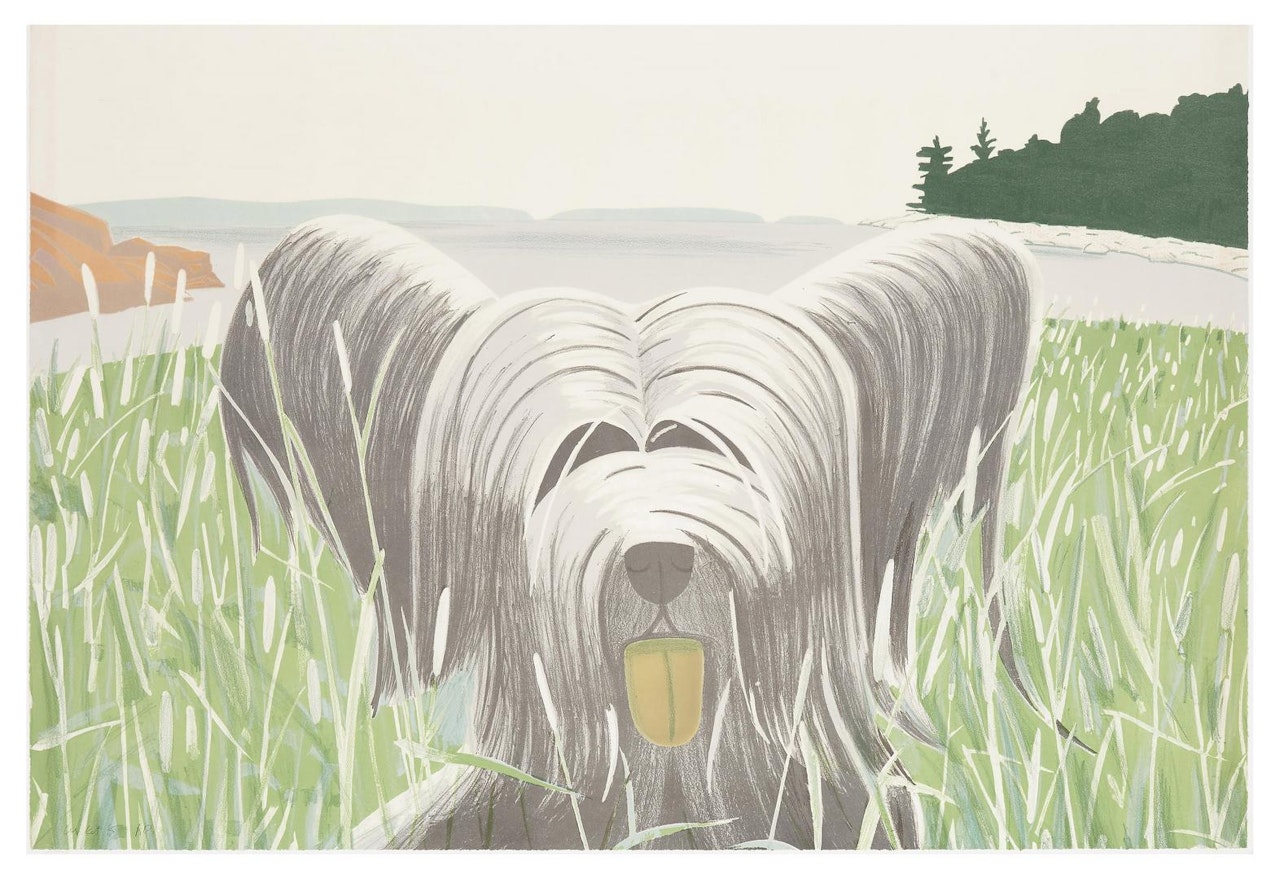 Dog at Ducktrap by Alex Katz
