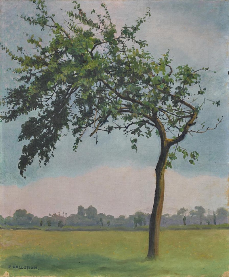 LE POMMIER, VARENGEVILLE by Félix Vallotton