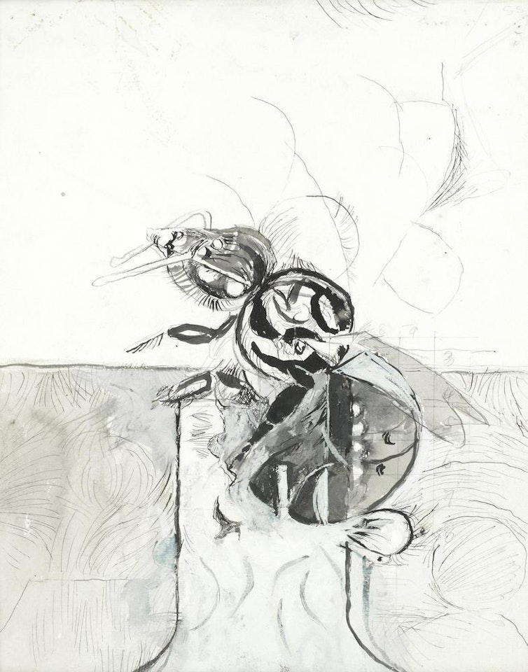 Study for Hatching I by Graham Sutherland