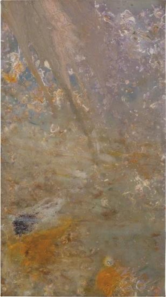 Tiger Falls by Frank Bowling