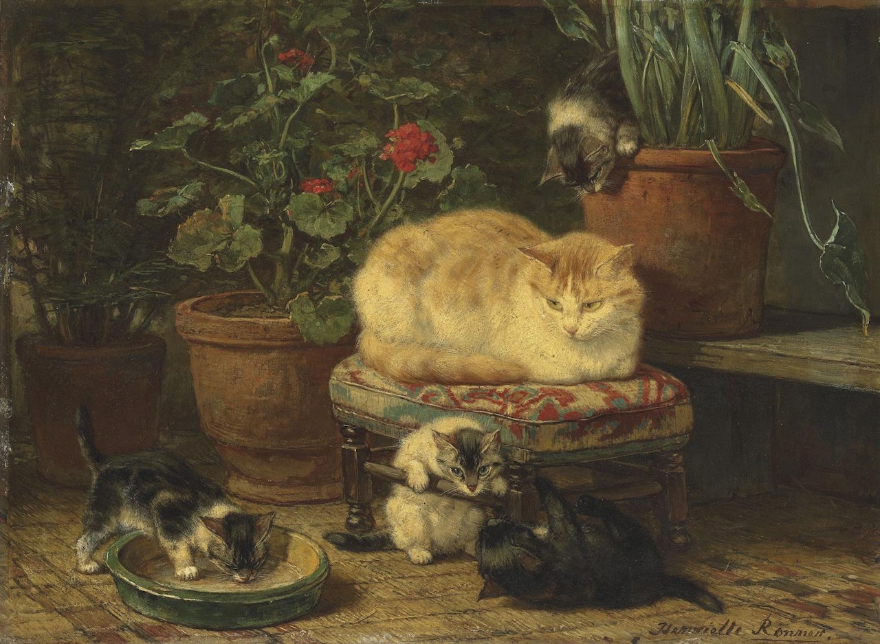 Kittens at play by Henriette Ronner-Knip