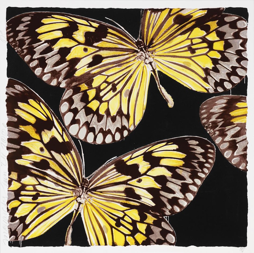 Monarchs, Jan 24, 2006 by Donald Sultan