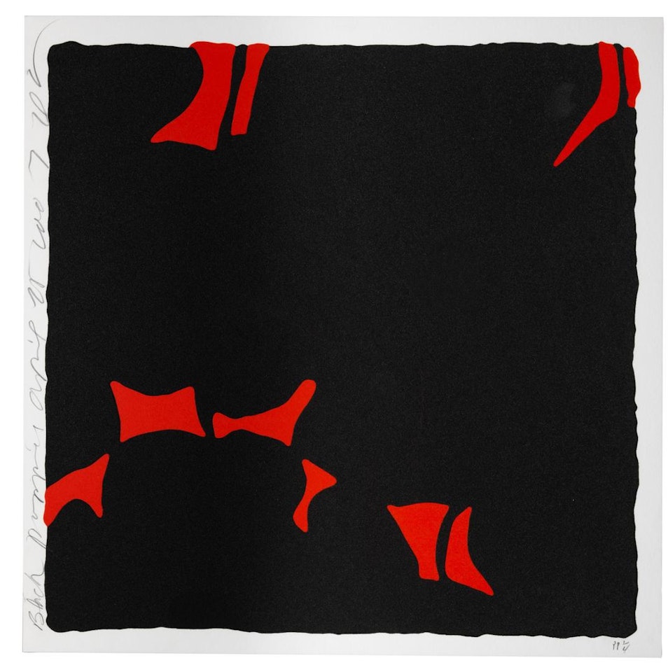 Black Poppies, April 25, 2007 by Donald Sultan