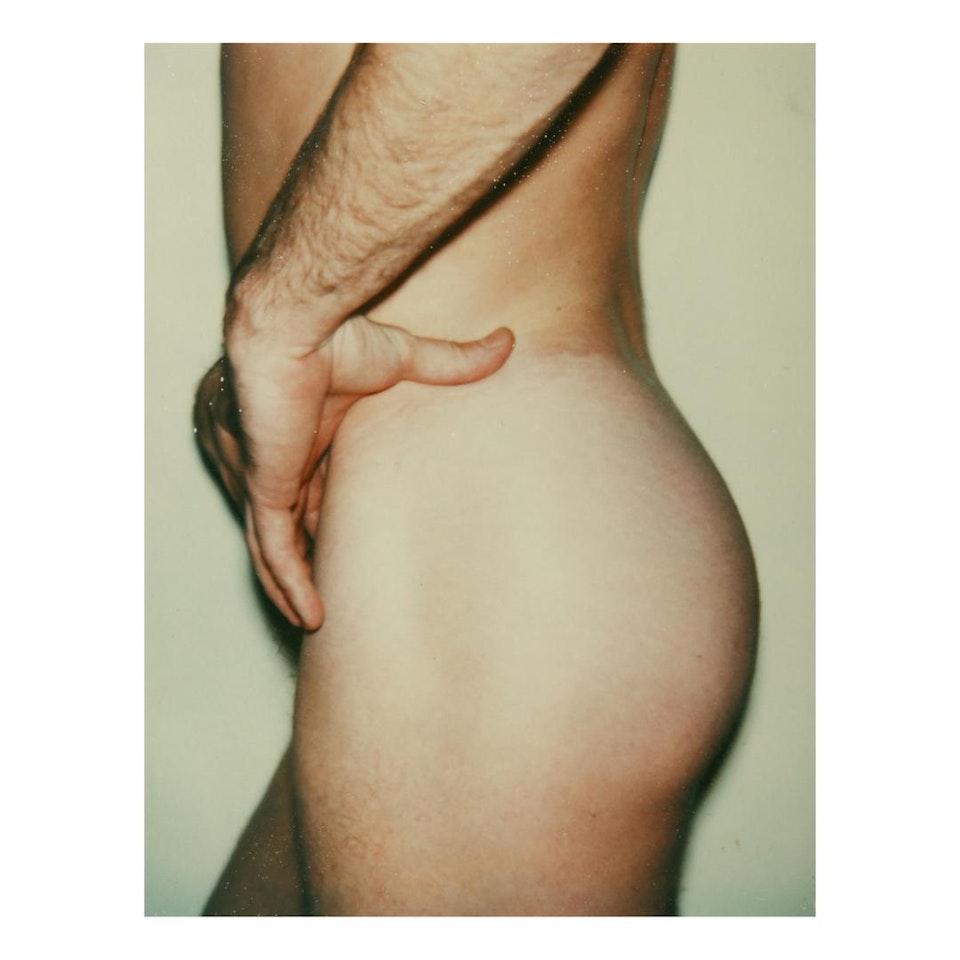 TORSO by Andy Warhol