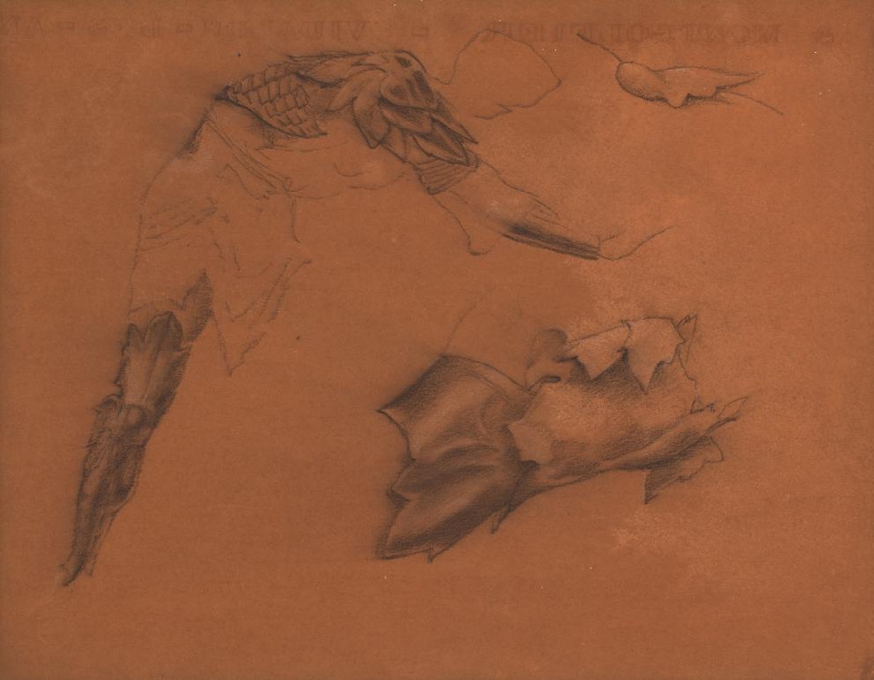 Studies for Perseus and the Graiae by Edward Coley Burne-Jones