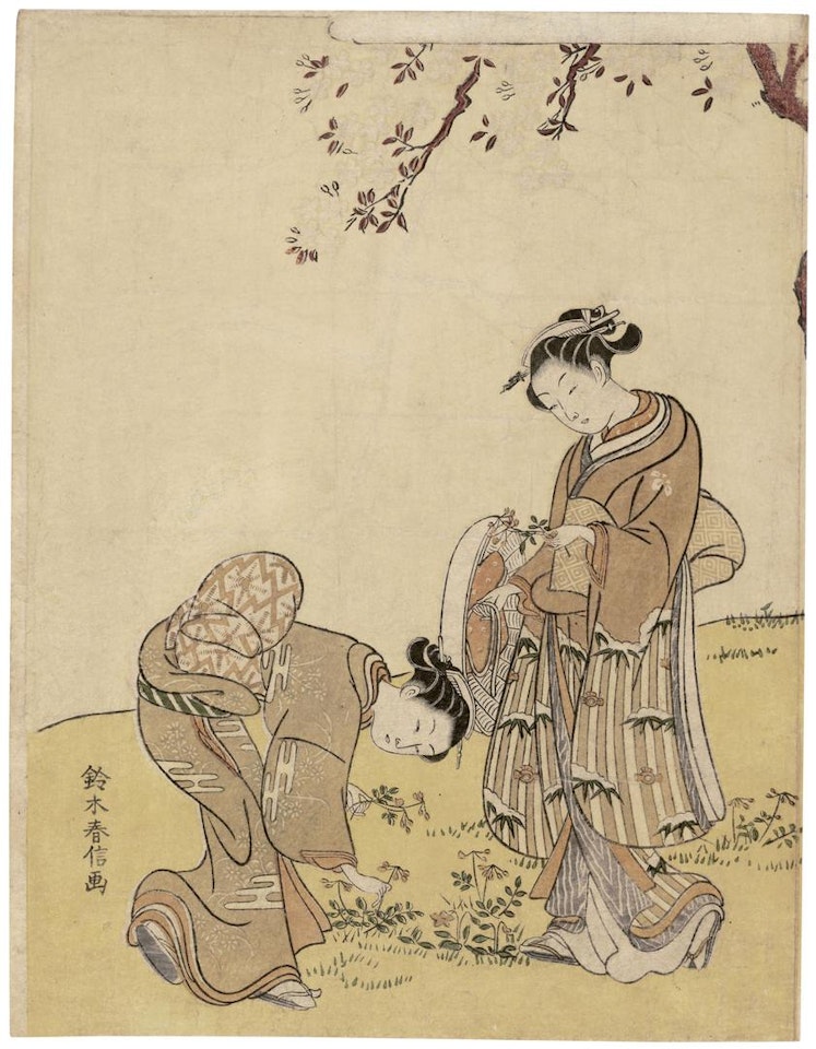 Two Beauties Picking Flowers Under a Blossoming Cherry Tree by Suzuki Harunobu