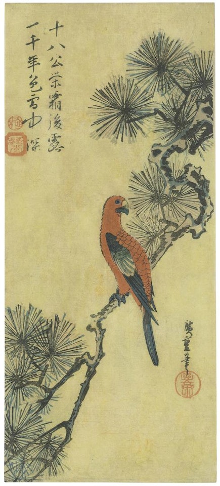 Parrot on a pine branch by Utagawa Hiroshige