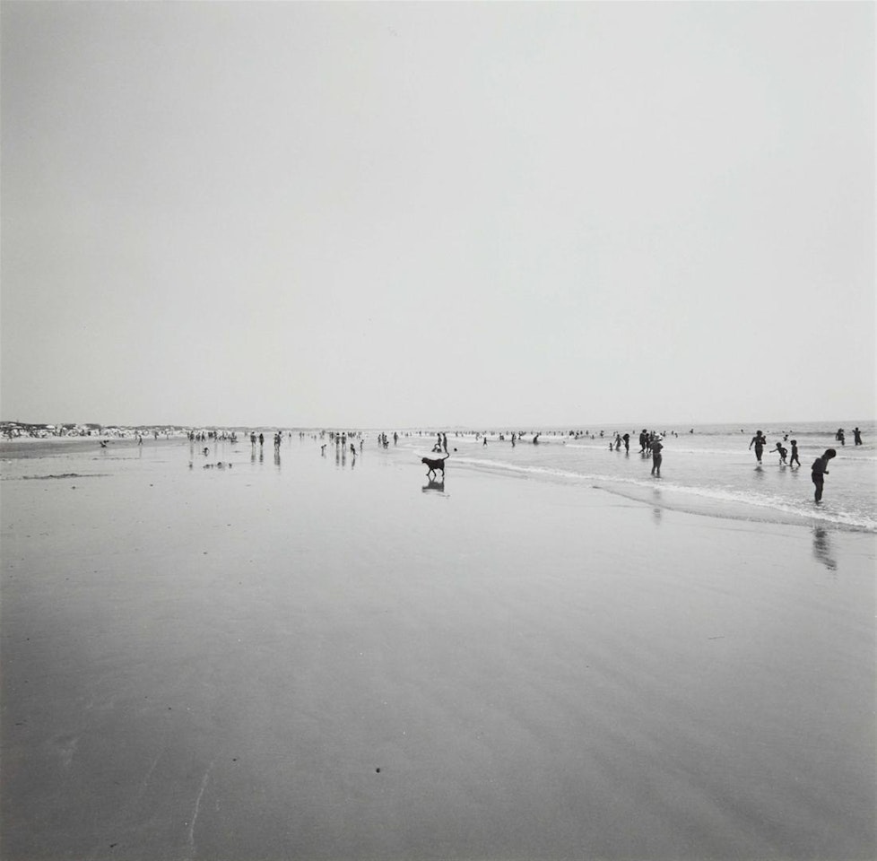 Horseneck Beach, 1974 by Harry Callahan