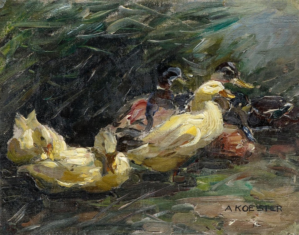 A Study of Ducks by Alexander Koester