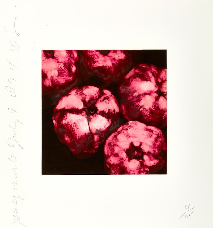 Pomegranate July 9, , from Fruits and Flowers III, 1994 by Donald Sultan