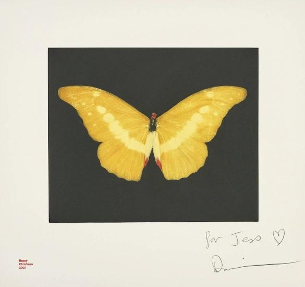 To Lure by Damien Hirst