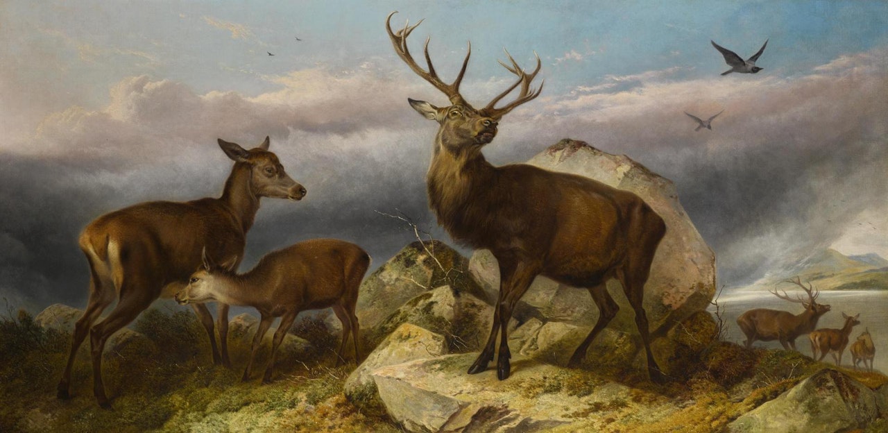 HOME OF THE RED DEER by Richard Ansdell