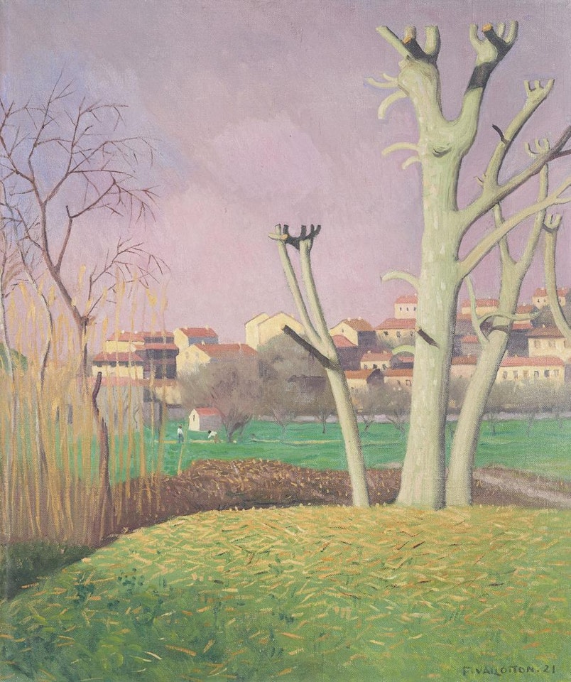 Platanes ébranchés, Cagnes by Félix Vallotton