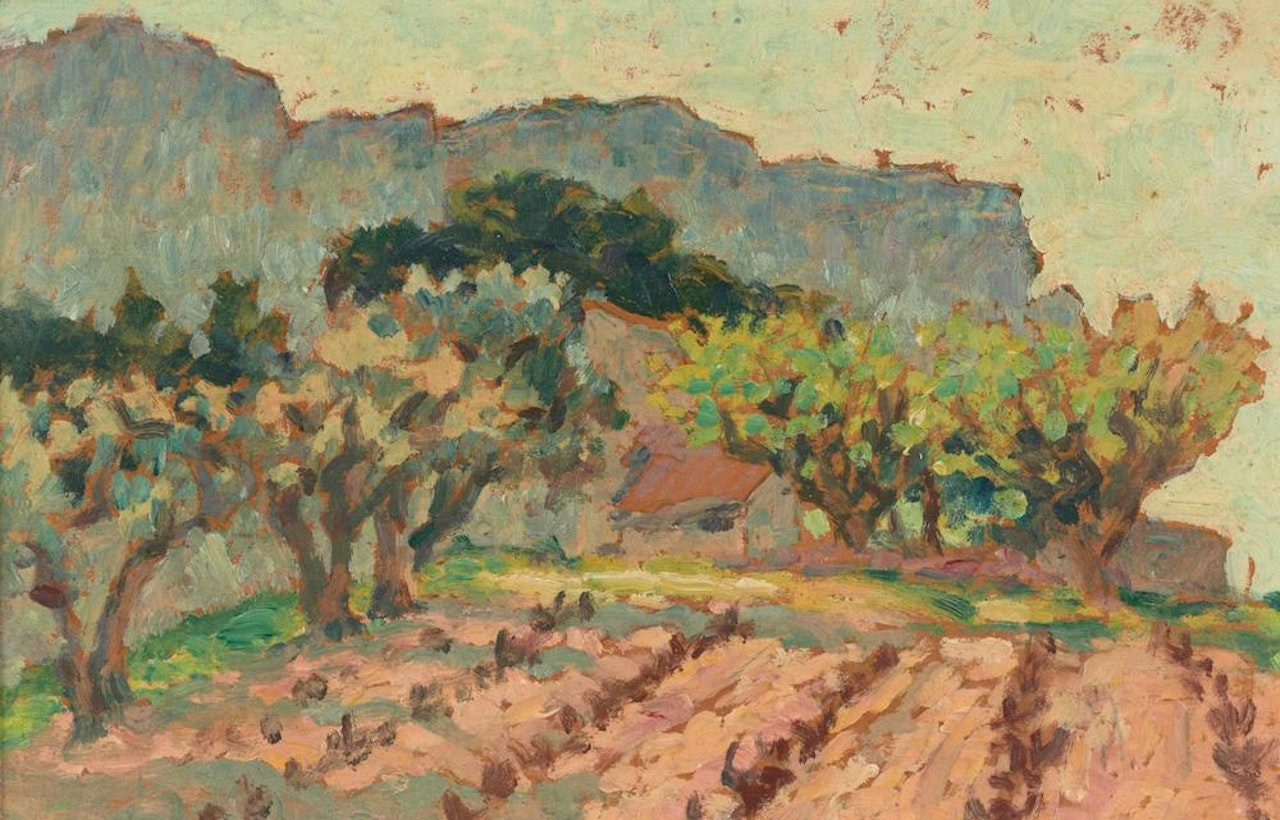Sunken Vineyards, South of France by Rupert Charles Wulsten Bunny