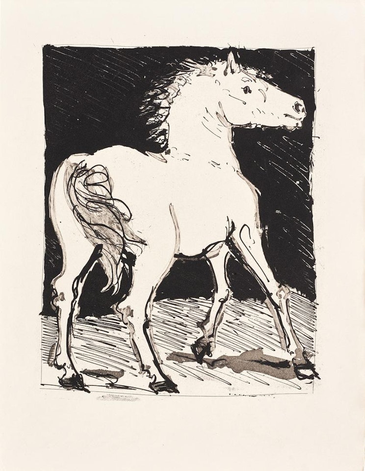 PABLO PICASSO  1881 - 1973  HISTOIRE NATURELLE (EAUX-FORTES ORIGINALES POUR DES TEXTES DE BUFFON) (CRAMER BOOKS 37; B. 328-358) by Pablo Picasso