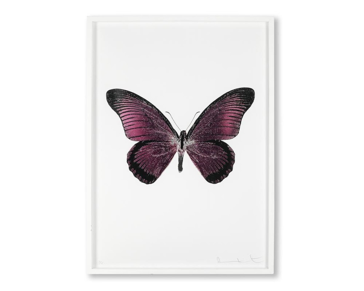 One Plate, from 'Souls IV' by Damien Hirst