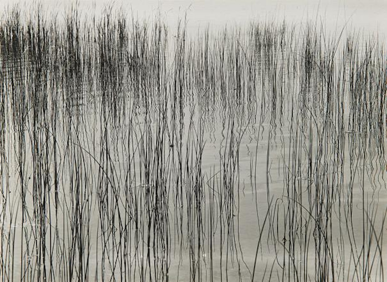 Detroit by Harry Callahan