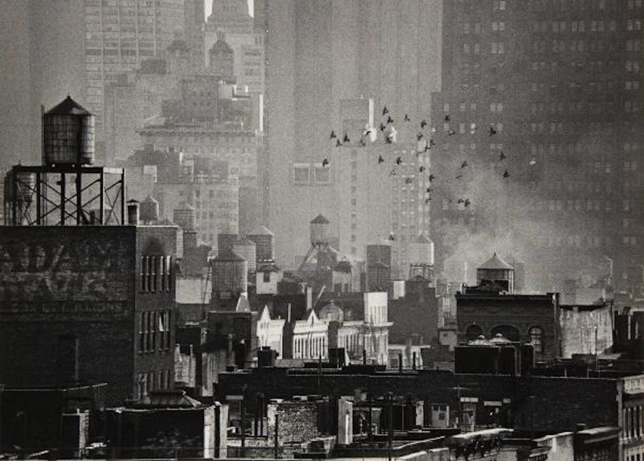 Birds in Flight and Cityscape by André Kertész
