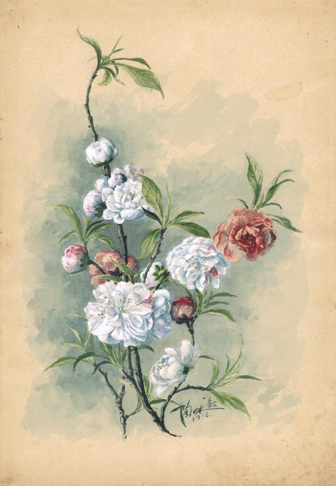 PEACH BLOSSOMS by Lengyue Tao