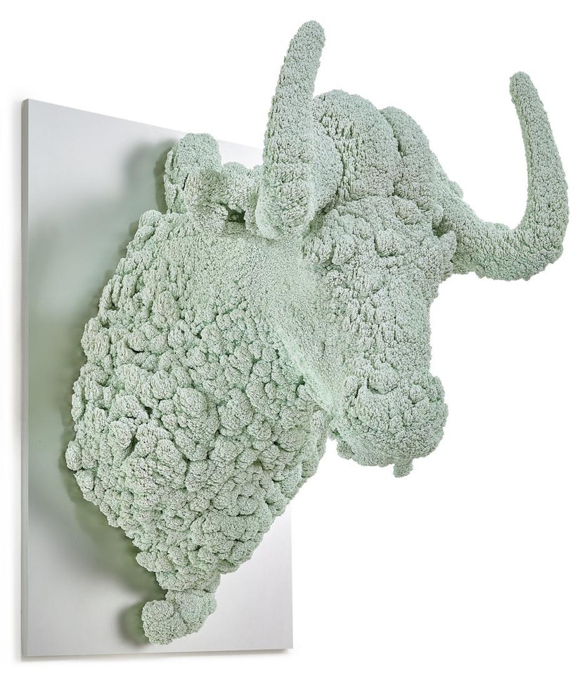 VILLUS - BUFFALO by Kohei Nawa