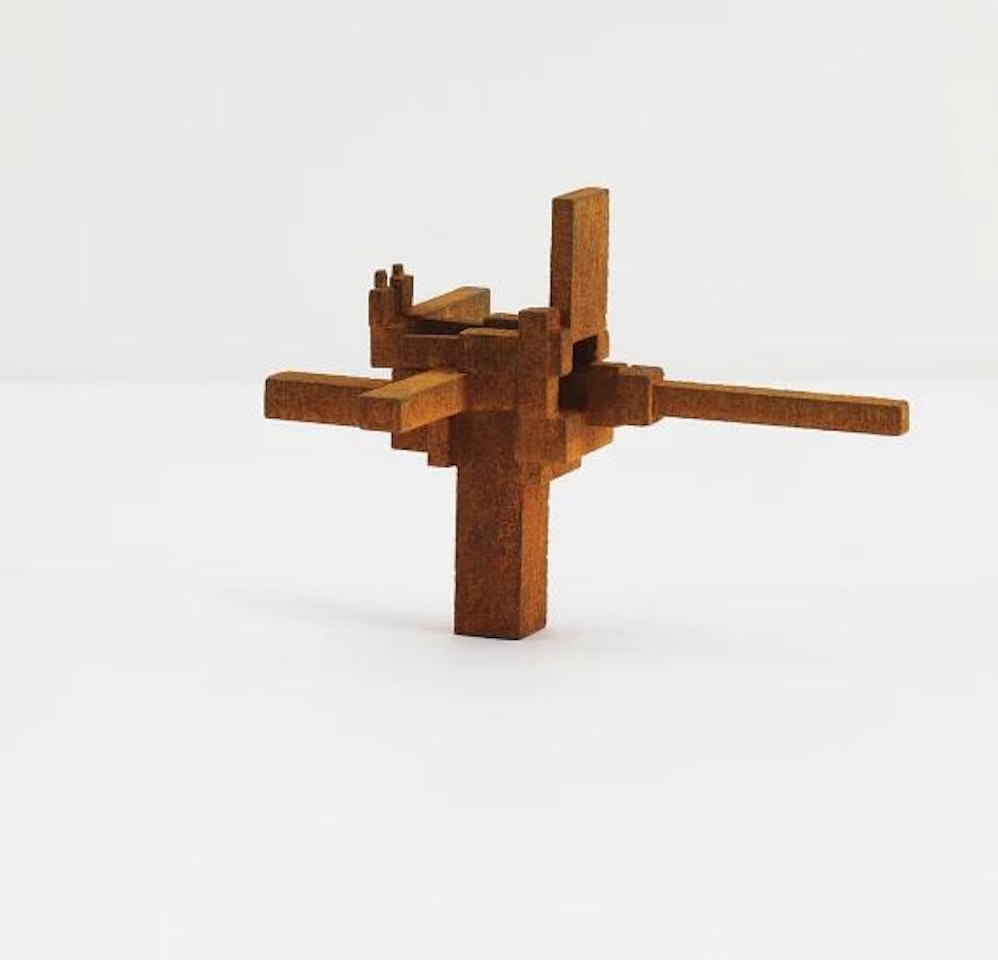 KNOT MODEL V by Antony Gormley
