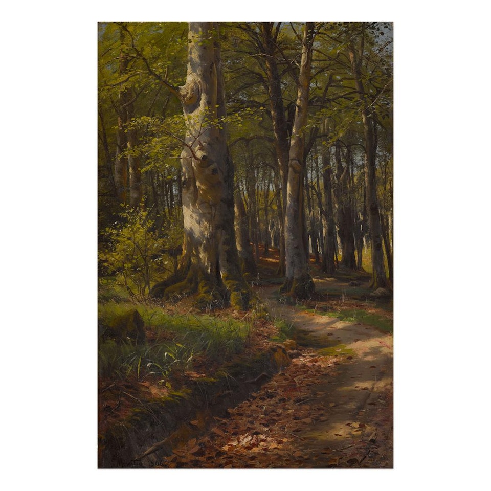 DAPPLED LIGHT ON A WOODLAND PATH by Peder Mork Monsted