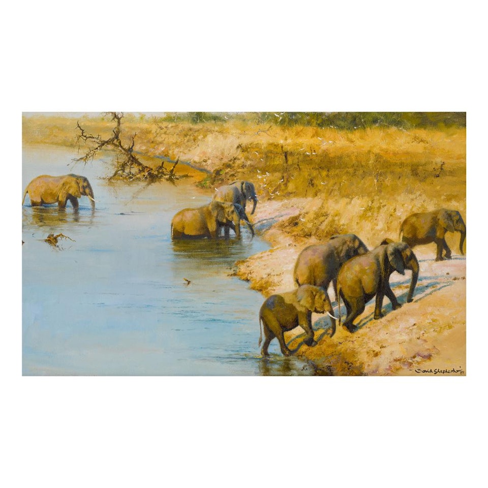 THE CROSSING by David Shepherd