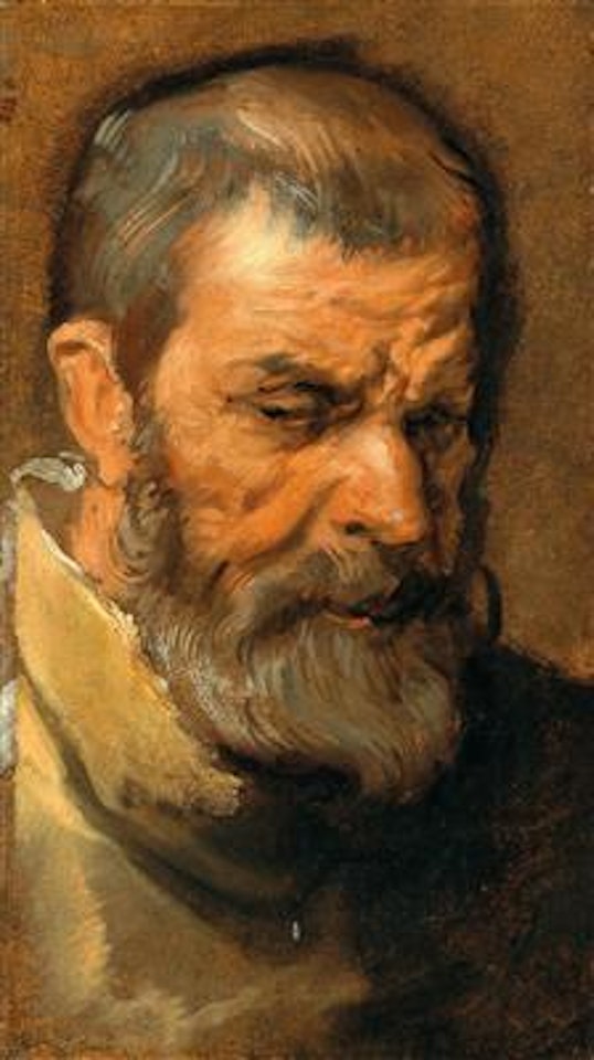 Head of a bearded man by Anthony van Dyck