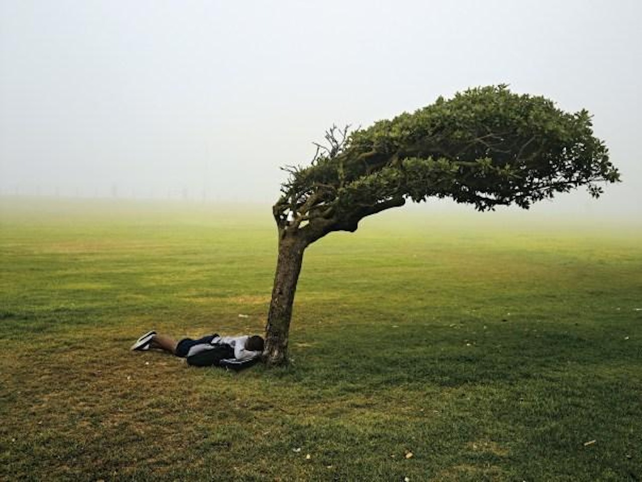 Green Point Common, Cape Town from Kin by Pieter Hugo