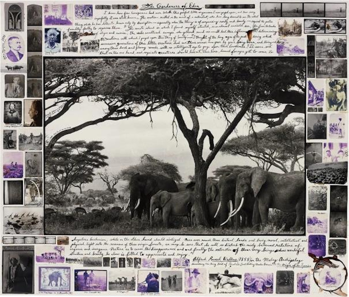 The Gardeners of Eden by Peter Beard