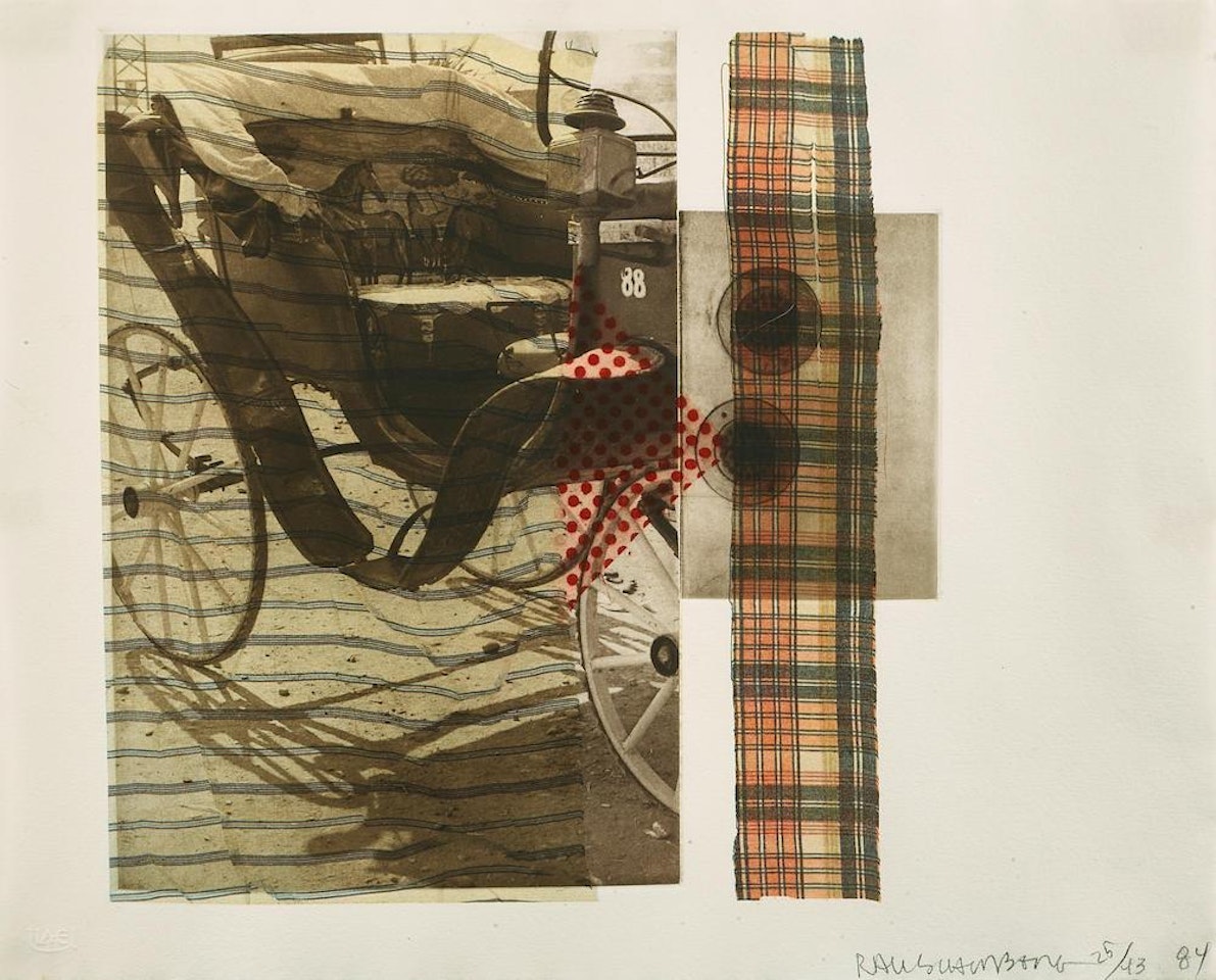 Hoss by Robert Rauschenberg