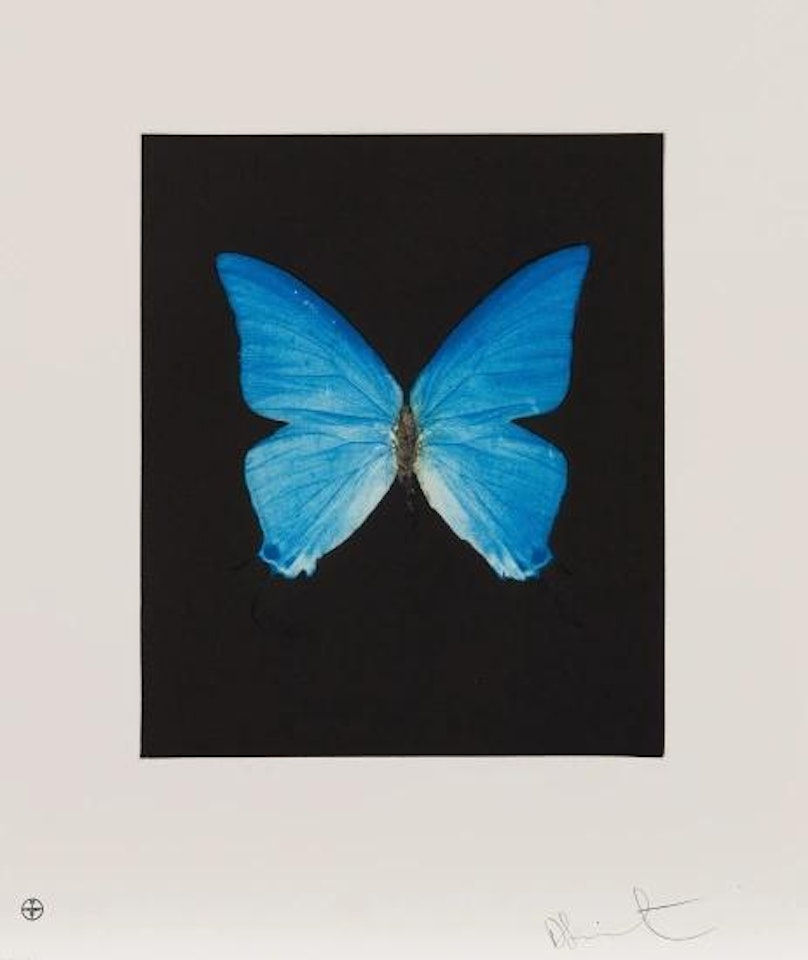 Providence, from Butterfly Etchings by Damien Hirst