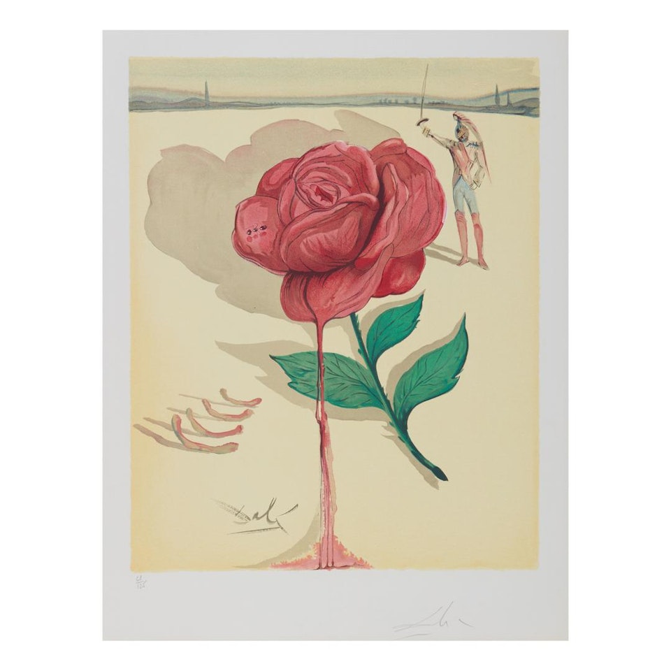 CARMEN (M. & L. 1304-1328; F. 70-1) by Salvador Dali