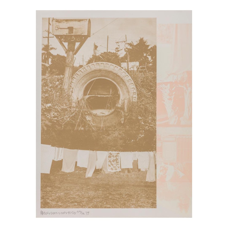 ROOKERY MOUNDS - MUD DAUBER by Robert Rauschenberg