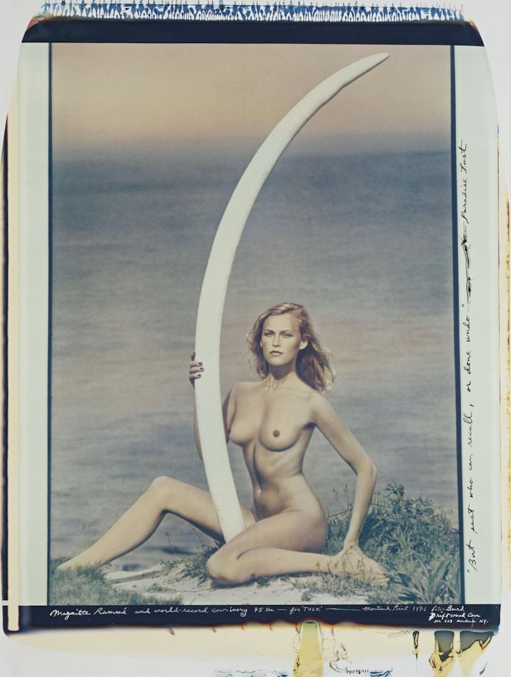 Magritte Rammé and World-Record Cow-Ivory 45 lbs. - For 'Tusk', Montauk Point by Peter Beard