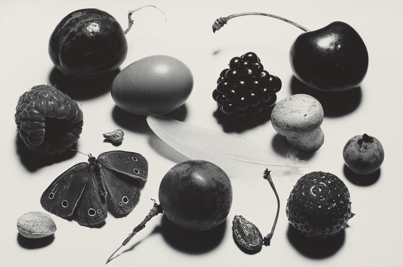 Still life with Grape and Moth (A), New York by Irving Penn