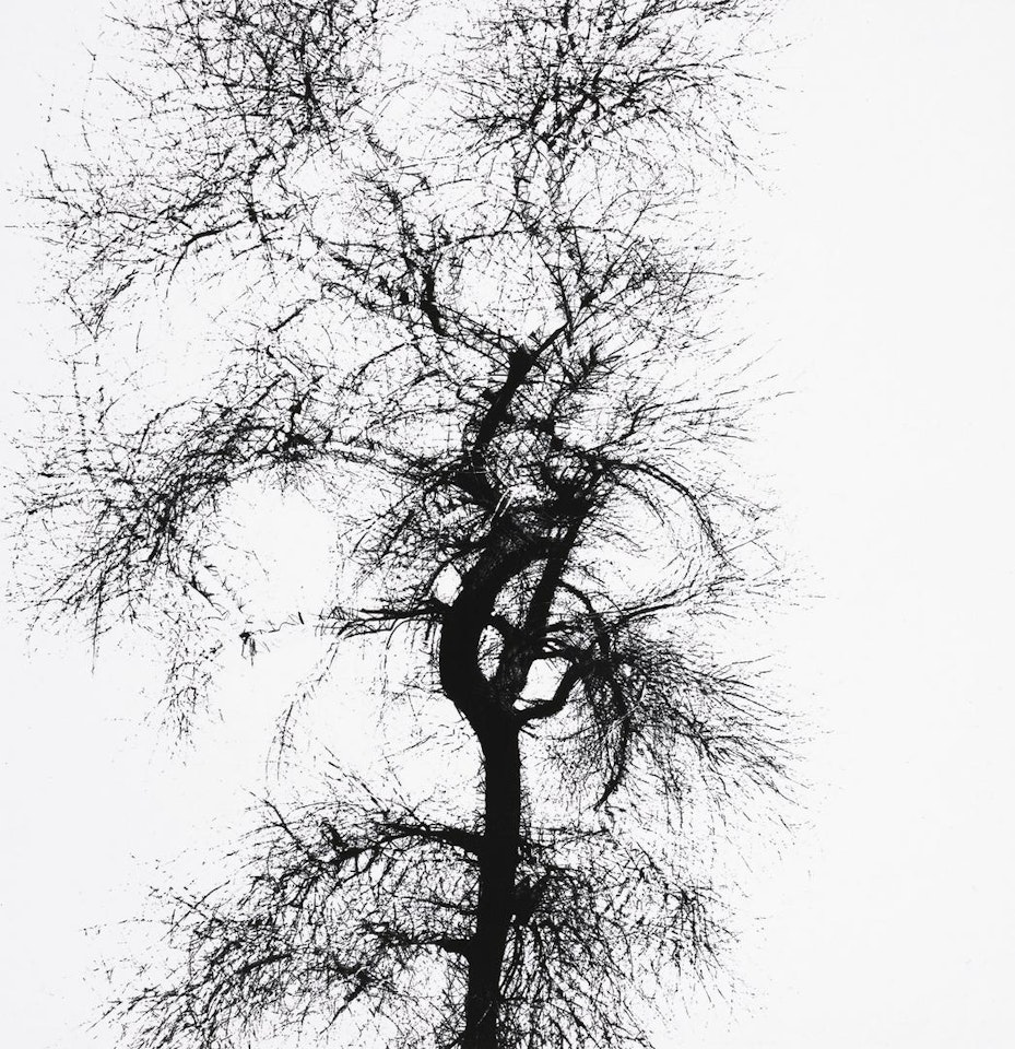 Multiple Exposure by Harry Callahan