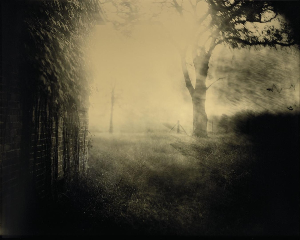 Deep South, Untitled, 1998 by Sally Mann