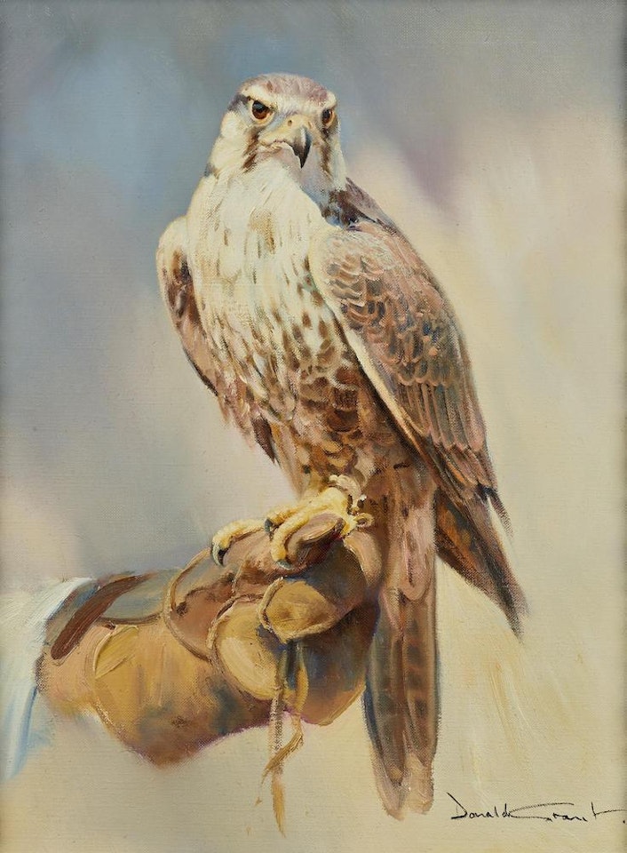 A perched falcon by Donald Grant