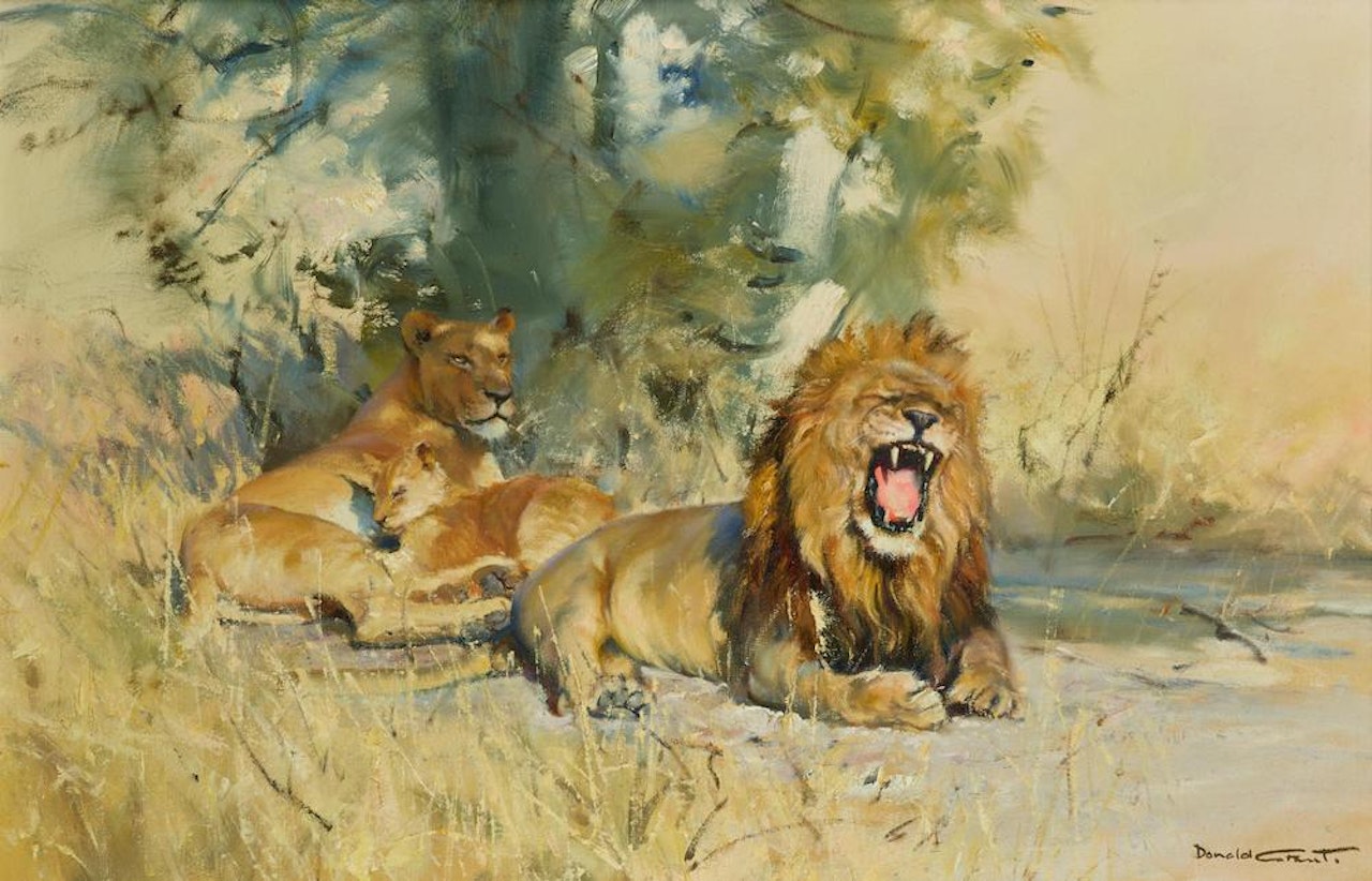 A pride of lions by Donald Grant