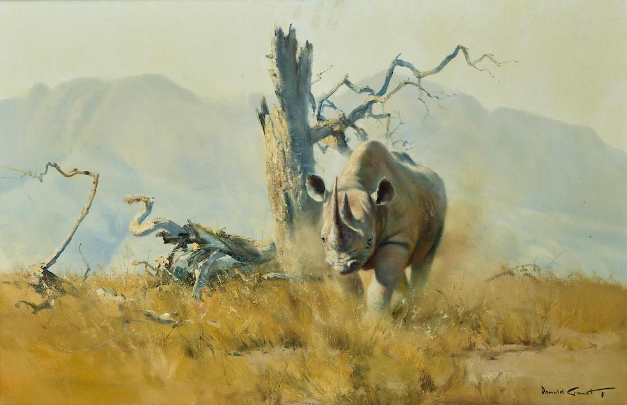 Rhino, Norogoro crater (Rhino charge) by Donald Grant