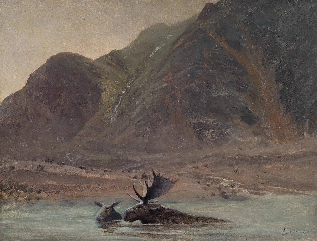 Moose in Stream by Albert Bierstadt