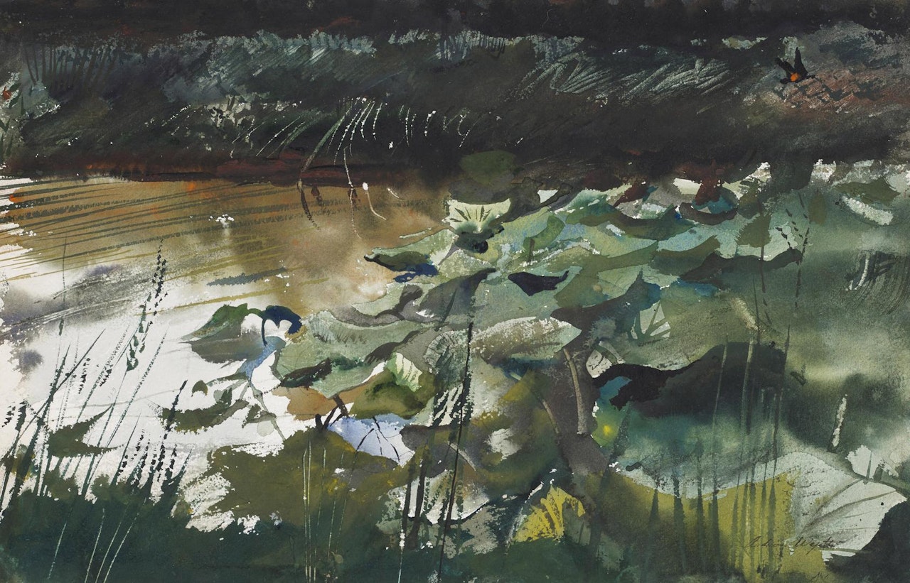 Lily Pads by Andrew Wyeth