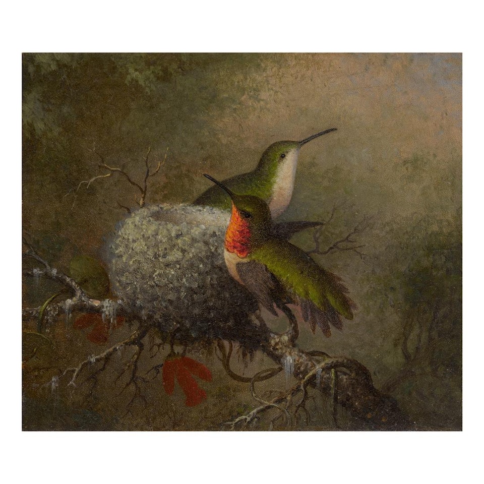 TWO RUBY THROATS BY THEIR NEST by Martin Johnson Heade