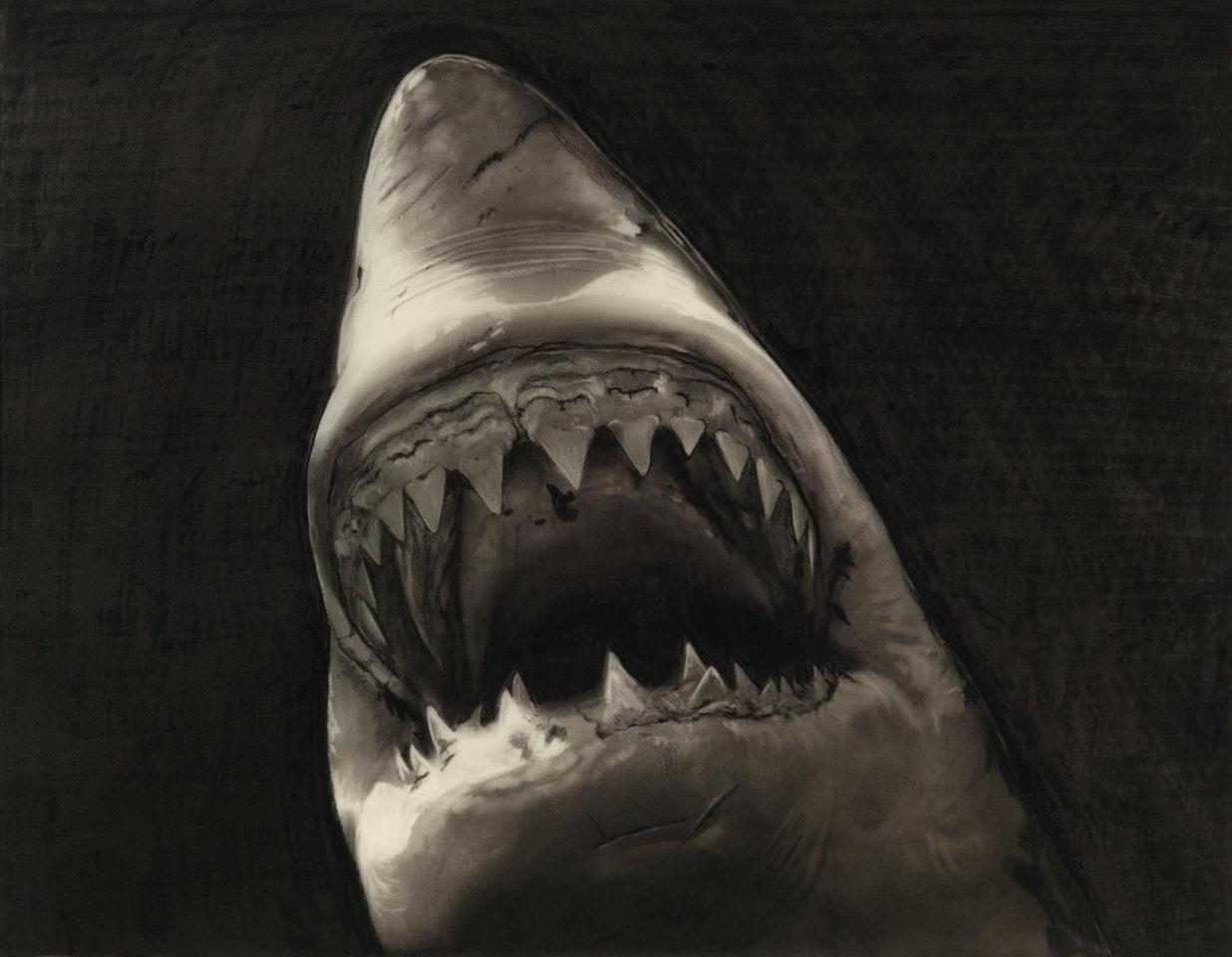 STUDY FOR SHARK by Robert Longo