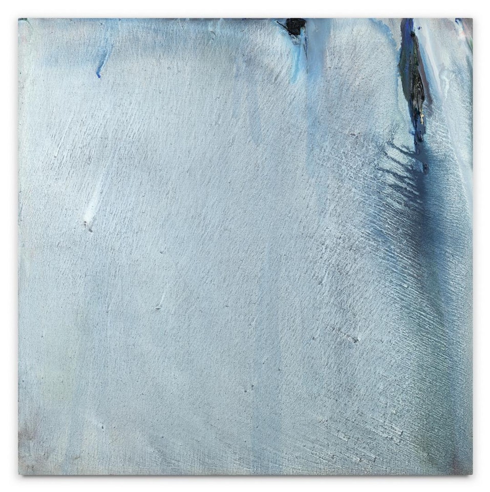 BLEU GRIS DE BAVIÈRE by Olivier Debre